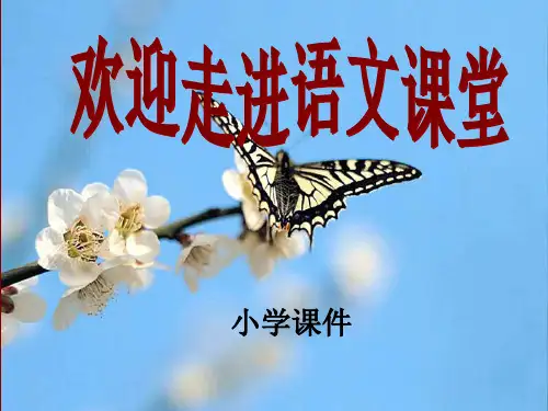 五年级语文《细节描写》优秀课件PPT
