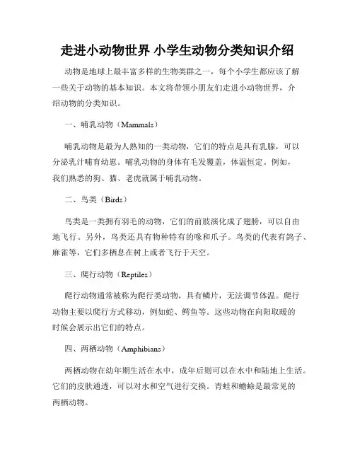 走进小动物世界 小学生动物分类知识介绍