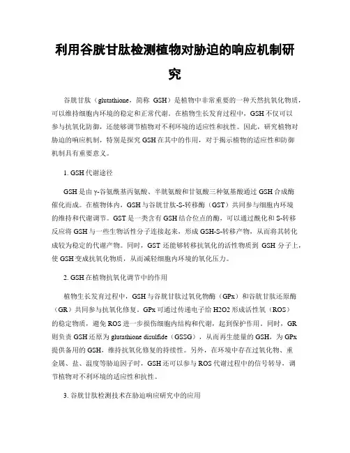 利用谷胱甘肽检测植物对胁迫的响应机制研究