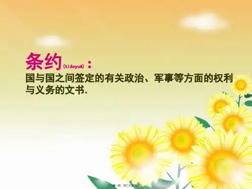 六年级上册语文《世界儿童和平公约》(共22张PPT)