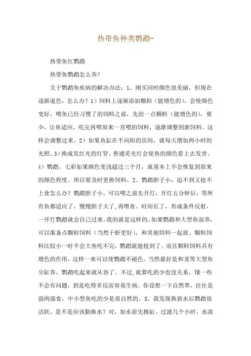 热带鱼种类鹦鹉--热带鱼红鹦鹉