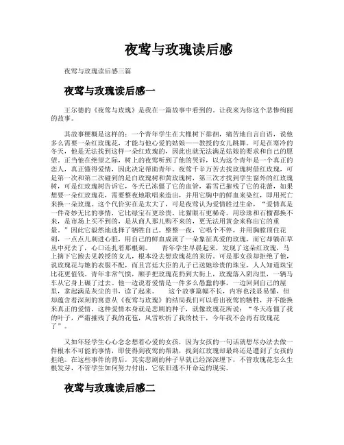 夜莺与玫瑰读后感
