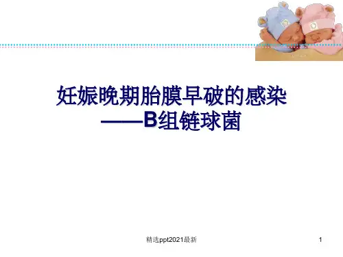 B组链球菌感染ppt课件
