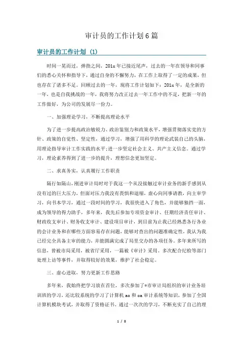 审计员的工作计划6篇