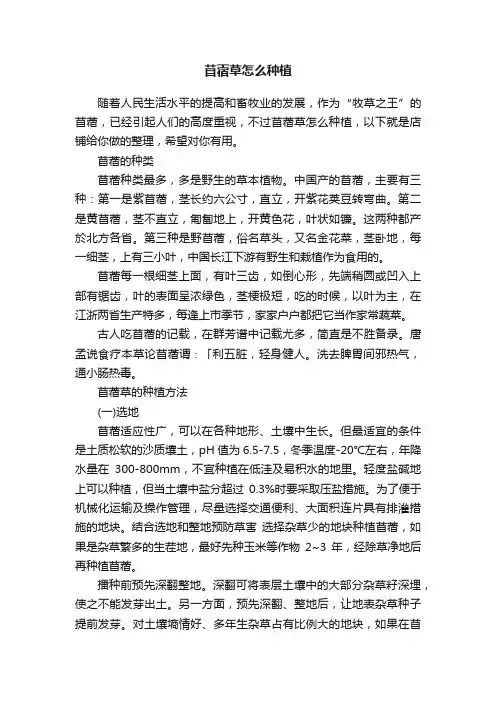 苜蓿草怎么种植