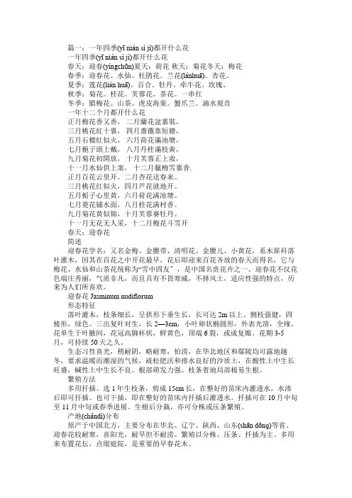 秋天开的花有哪些
