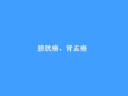 膀胱癌、肾盂癌影像诊断