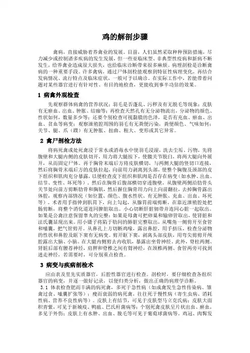 实用鸡的病理解剖步骤