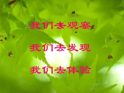 长方形和正方形的认识课件PPT