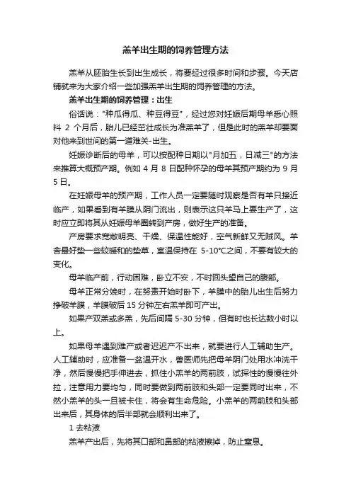 羔羊出生期的饲养管理方法
