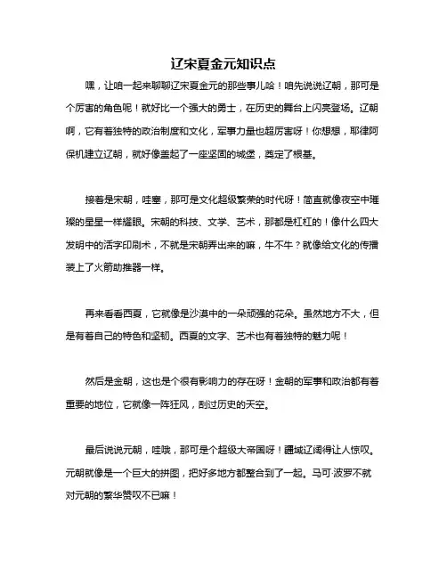 辽宋夏金元知识点