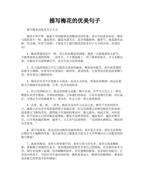 描写梅花的优美句子