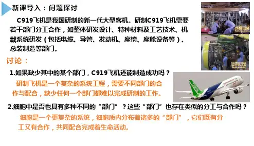 3.2 细胞器之间的分工合作(第1课时)高一上学期生物人教版必修一