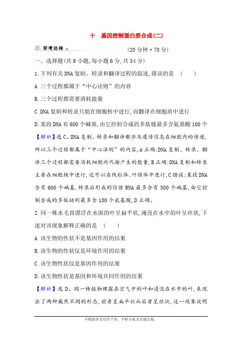 2020-2021学年生物浙科版(2019)必修第二册：3.4 基因控制蛋白质合成(二)
