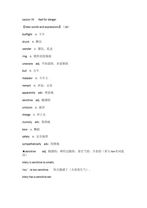 新概念英语第二册第70课Red for danger