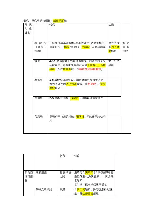 组织学与胚胎学皮肤表格