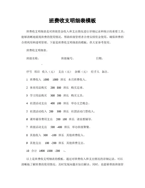 班费收支明细表模板