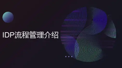 IDP流程管理介绍