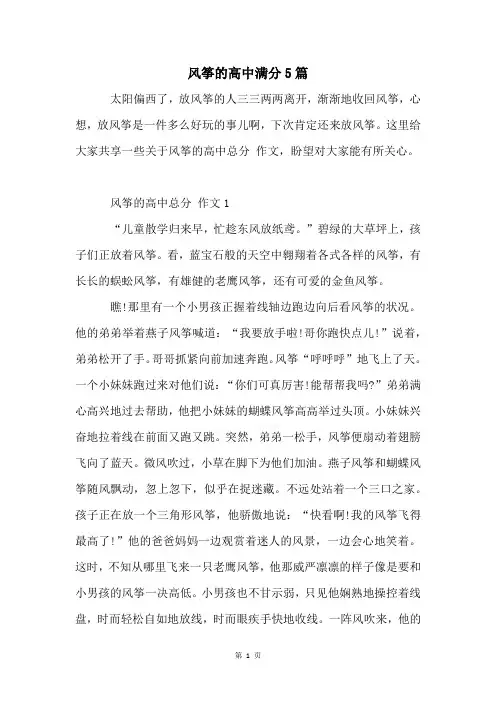 风筝的高中满分5篇