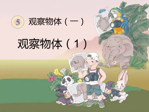 新人教版数学二年级上册《观察物体》ppt课件