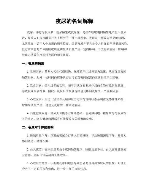 夜尿的名词解释