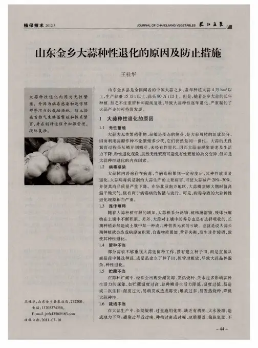 山东金乡大蒜种性退化的原因及防止措施