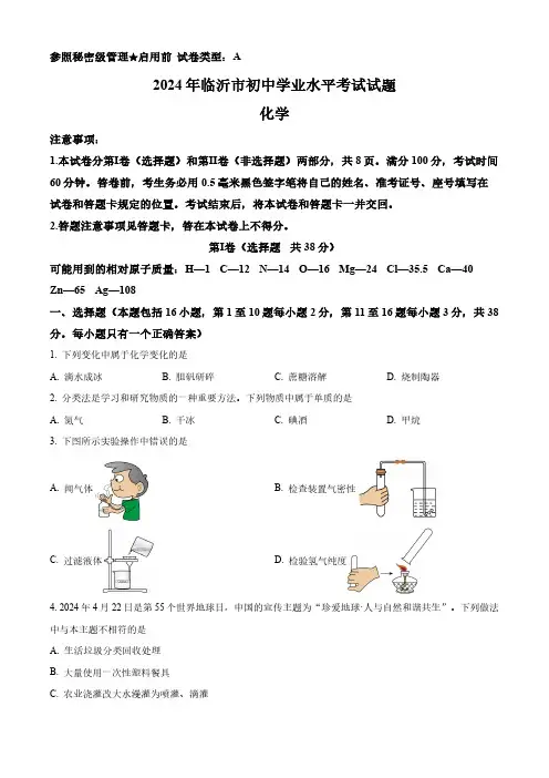 精品解析：2024年山东省临沂市中考化学真题(原卷版)