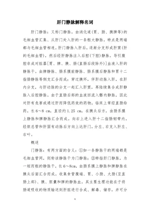 肝门静脉解释名词