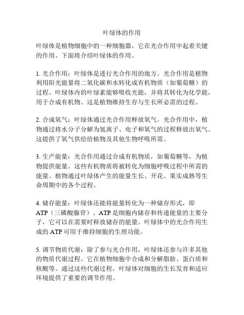 叶绿体的作用