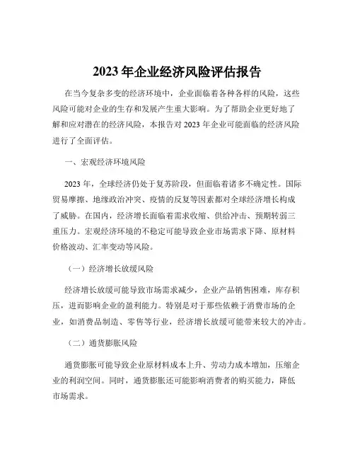 2023年企业经济风险评估报告