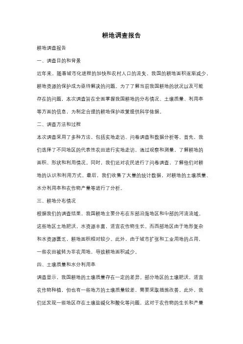 耕地调查报告