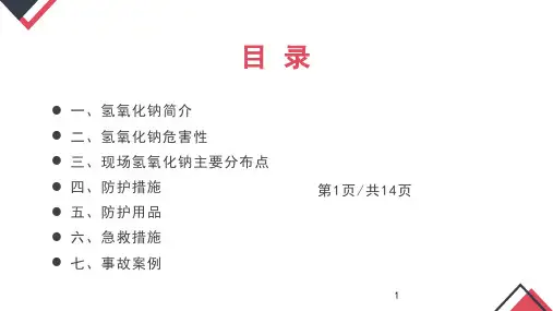 氢氧化钠安全知识培训PPT课件