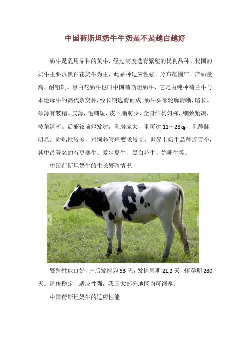 中国荷斯坦奶牛 牛奶是不是越白越好