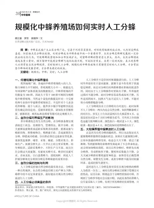 规模化中蜂养殖场如何实时人工分蜂