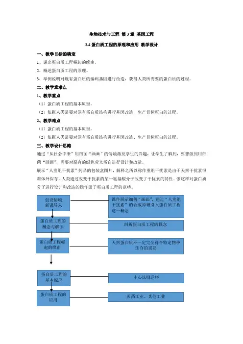3.4蛋白质工程的原理和应用教案2021-2022学年高二下学期生物人教版选择性必修3