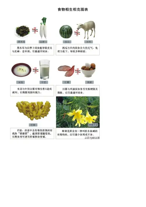 食物相生相克图表