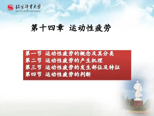 14-运动性疲劳概述
