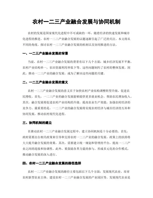农村一二三产业融合发展与协同机制