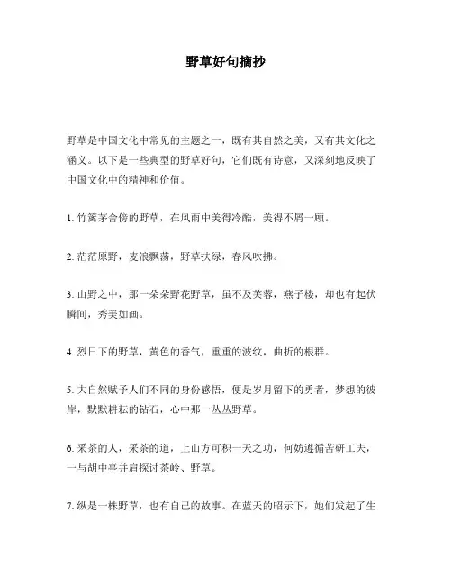 野草好句摘抄