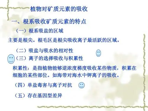 矿质 2