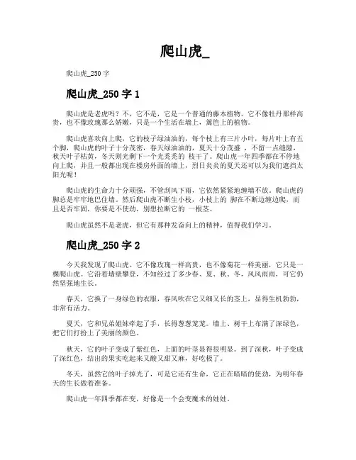 爬山虎-专业文档
