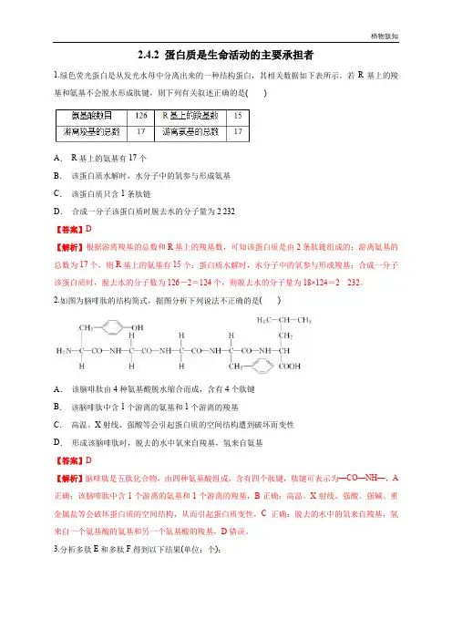 高中生物第一册 2 4 2 蛋白质是生命活动的主要承担者 练习(含答案)