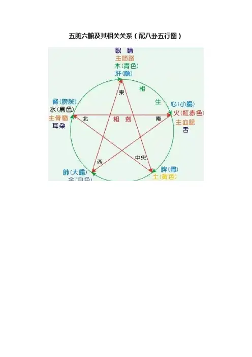 五脏六腑及其相关关系（配八卦五行图）