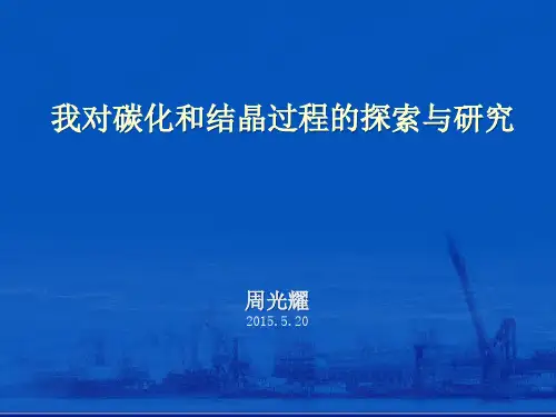 我对碳化和结晶过程的探索与研究(周光耀)