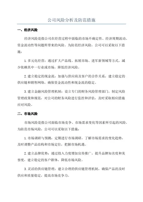 公司风险分析及防范措施