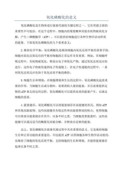 氧化磷酸化的意义