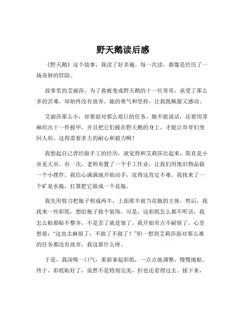 野天鹅读后感