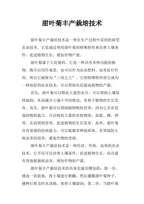甜叶菊丰产栽培技术