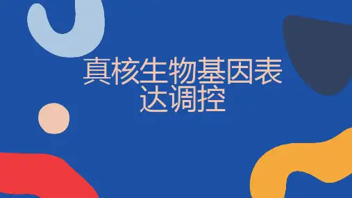 真核生物基因表达调控