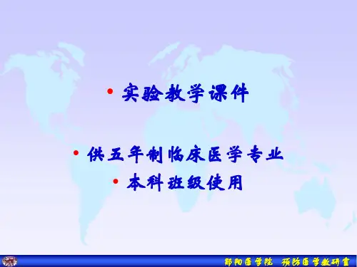 预防医学实验项目